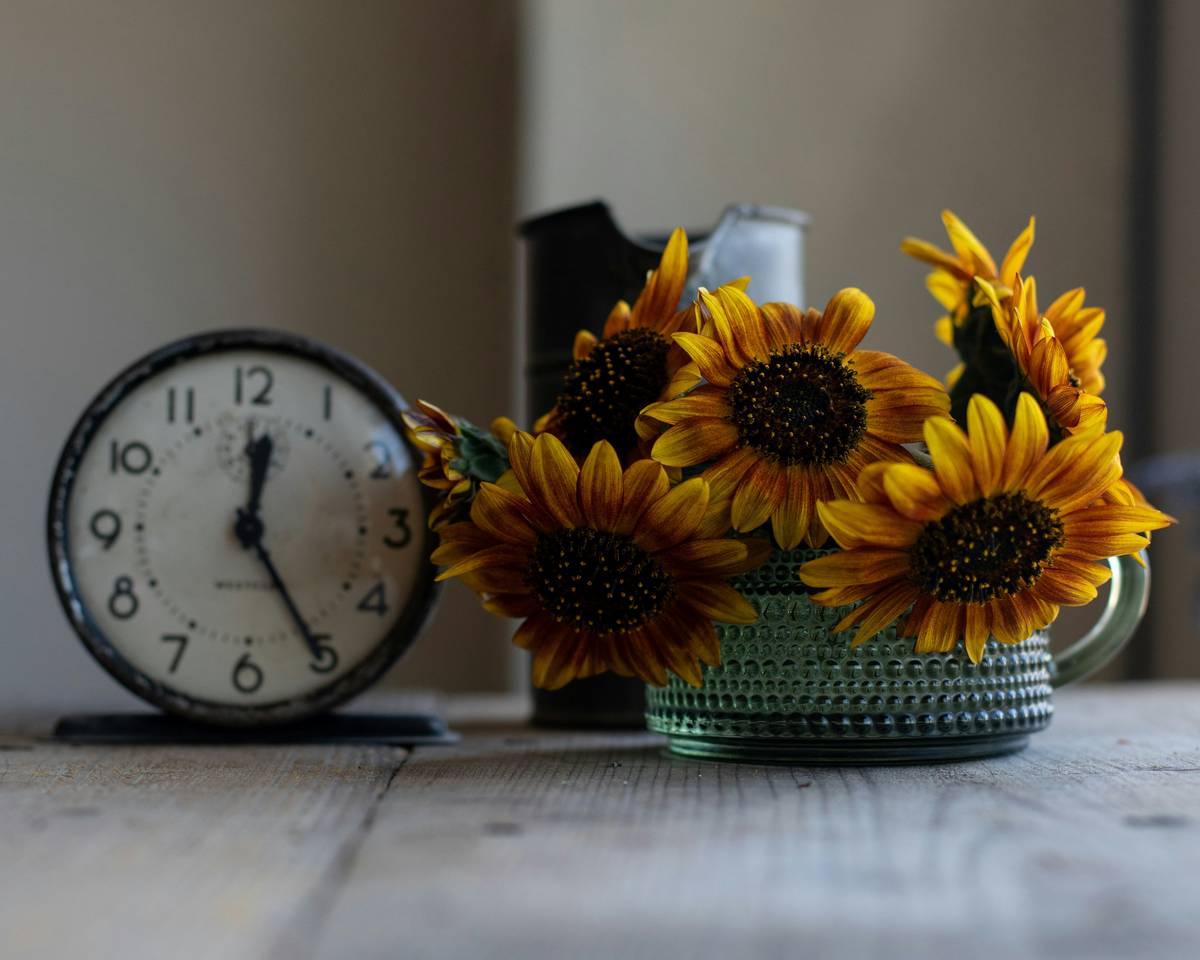 Vintage mantel clock displayed on a fireplace where to find mantel clock